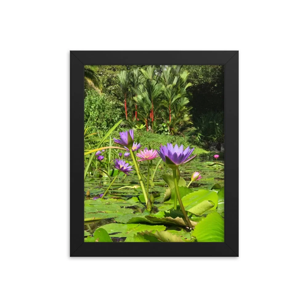 premium-luster-photo-paper-framed-poster-(in)-black-8x10-transparent-63fbd3137fff7.jpg
