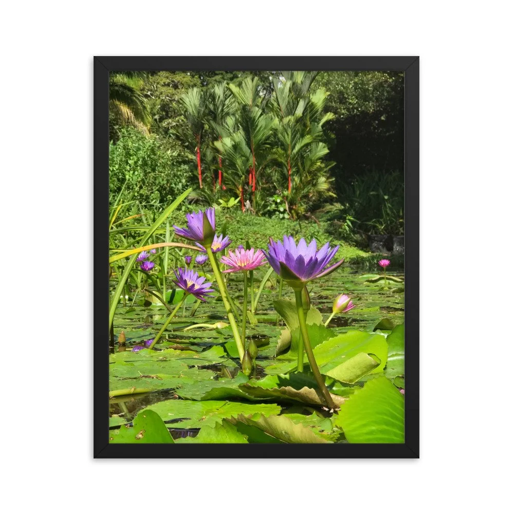 premium-luster-photo-paper-framed-poster-(in)-black-16x20-transparent-63fbd31380124.jpg