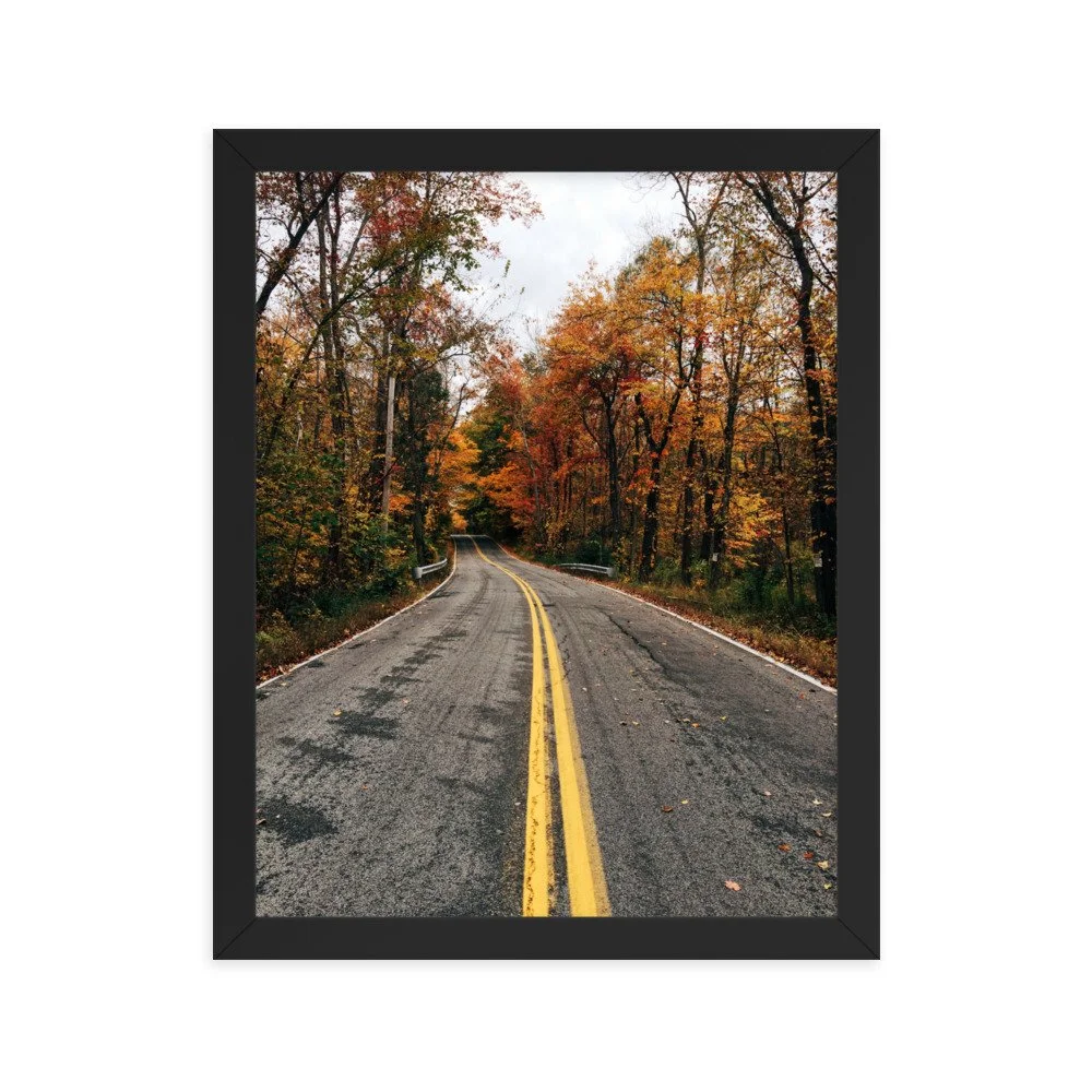 premium-luster-photo-paper-framed-poster-(in)-black-11x14-transparent-63fbd678e2fdf.jpg