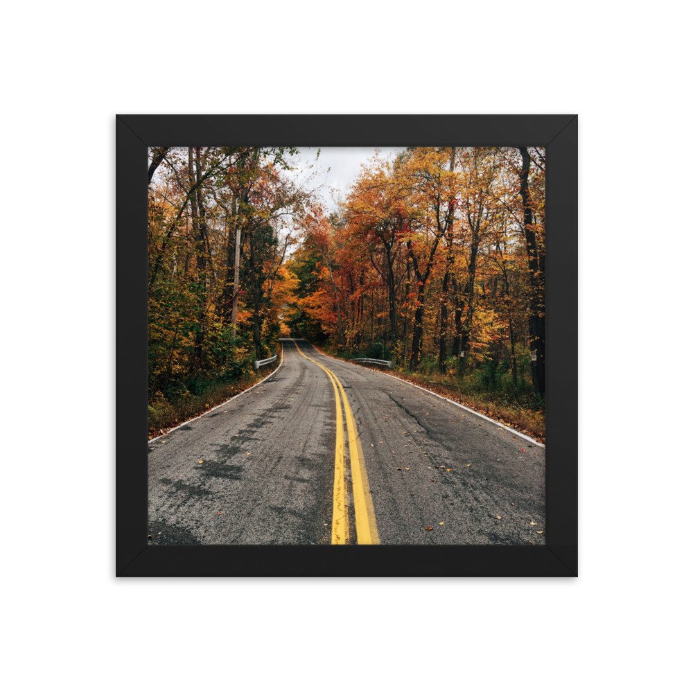 premium-luster-photo-paper-framed-poster-(in)-black-10x10-transparent-63fbd678e371b.jpg