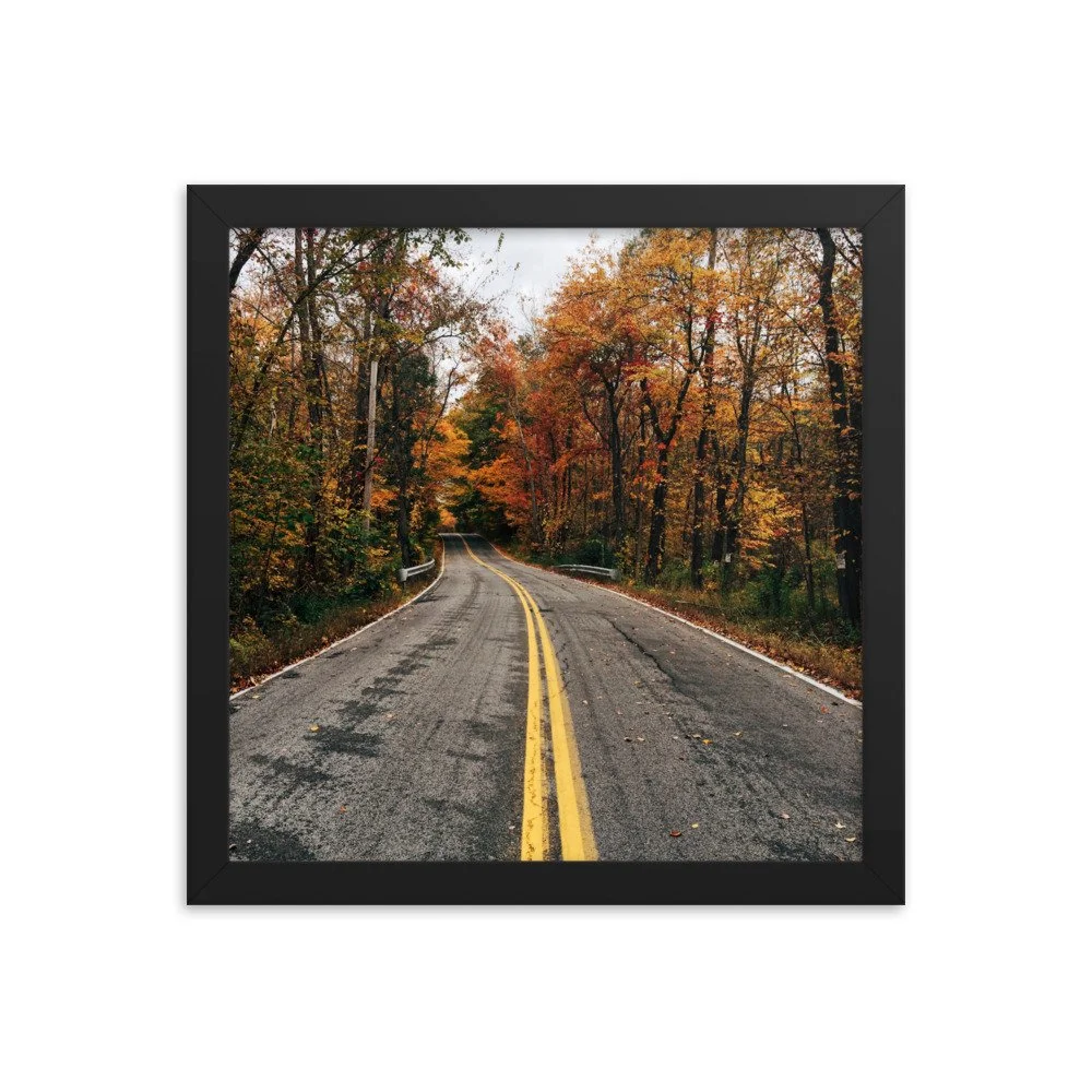 premium-luster-photo-paper-framed-poster-(in)-black-12x12-transparent-63fbd678e37dc.jpg