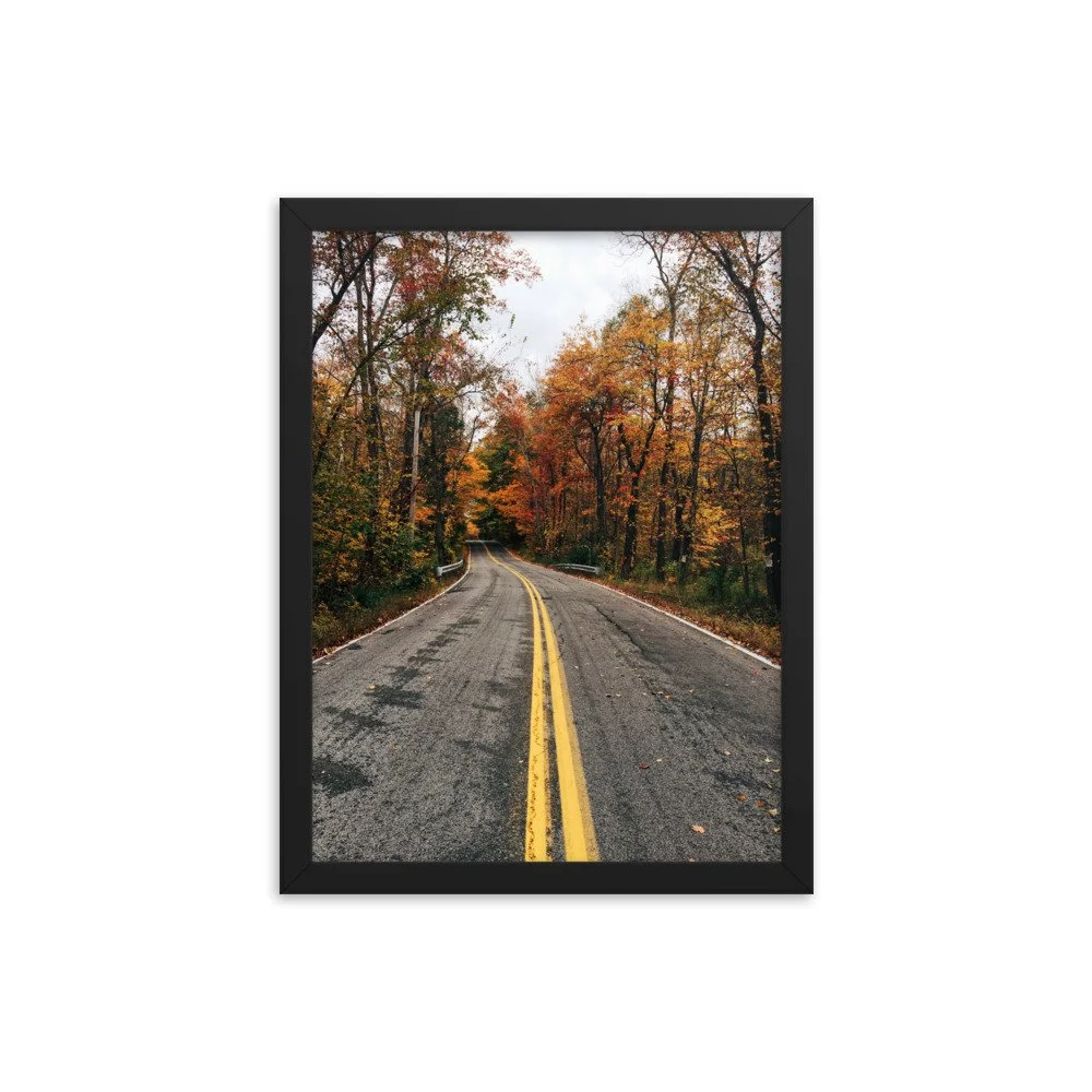 premium-luster-photo-paper-framed-poster-(in)-black-12x16-transparent-63fbd678e38e8.jpg