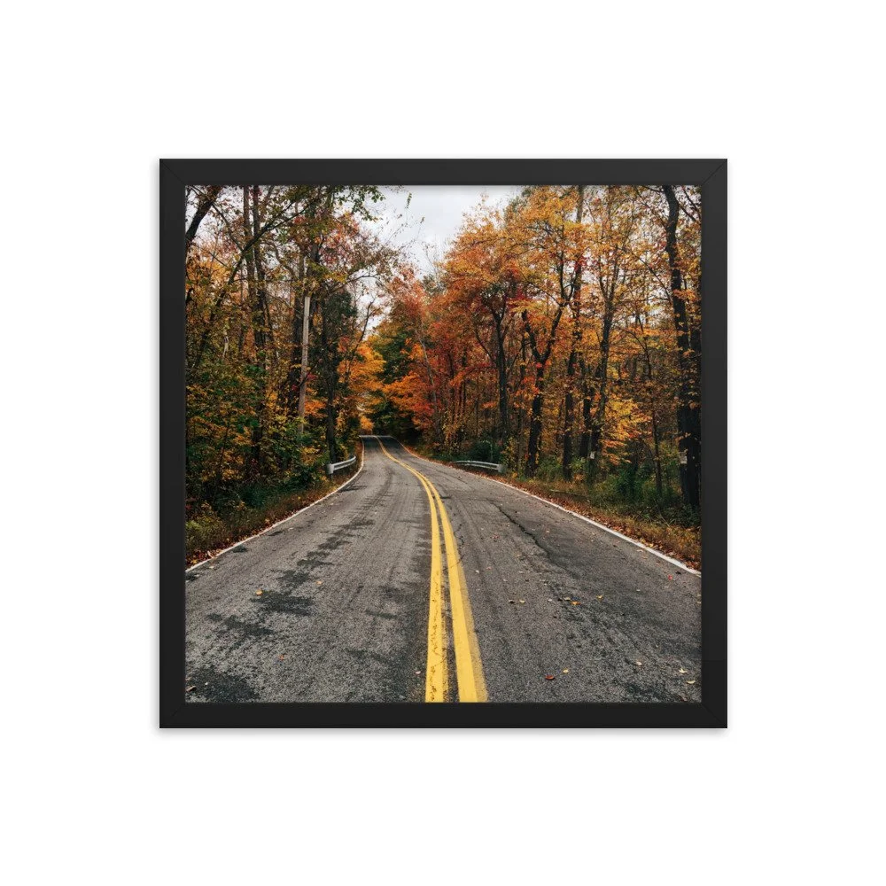 premium-luster-photo-paper-framed-poster-(in)-black-16x16-transparent-63fbd678e3b22.jpg
