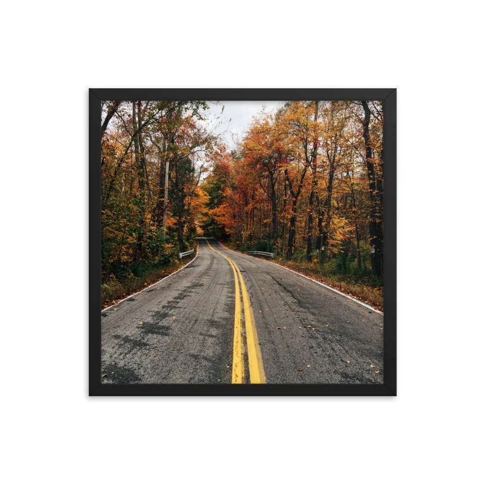 premium-luster-photo-paper-framed-poster-(in)-black-18x18-transparent-63fbd678e3c97.jpg