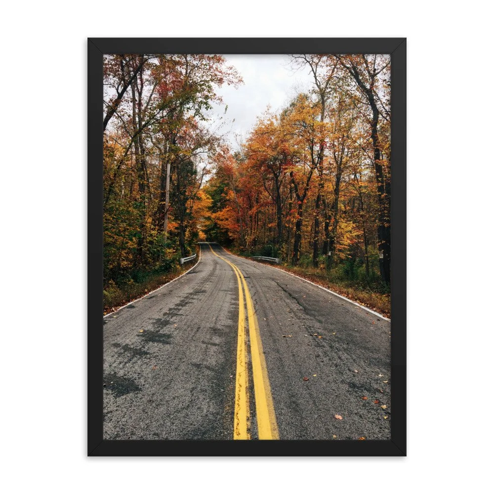 premium-luster-photo-paper-framed-poster-(in)-black-18x24-transparent-63fbd678e3d4e.jpg