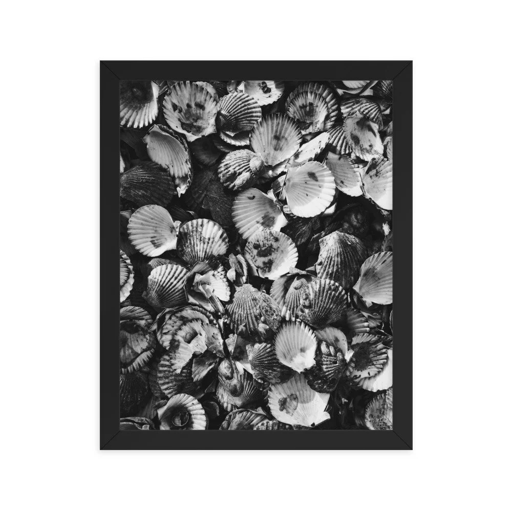 premium-luster-photo-paper-framed-poster-(in)-black-11x14-transparent-63fbde46e9952.jpg