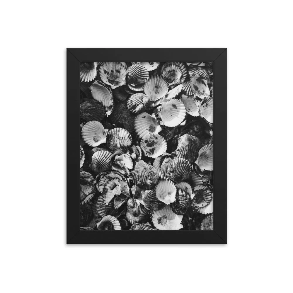 premium-luster-photo-paper-framed-poster-(in)-black-8x10-transparent-63fbde46edadb.jpg