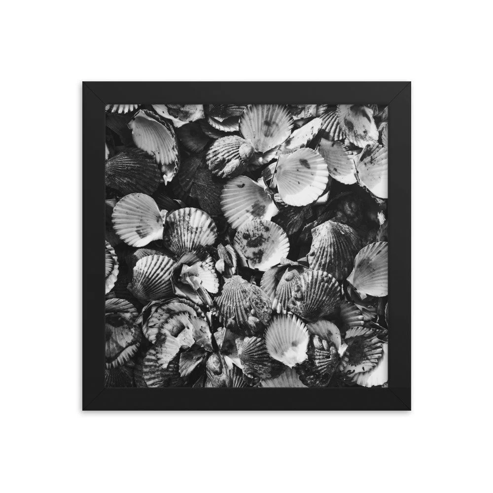 premium-luster-photo-paper-framed-poster-(in)-black-10x10-transparent-63fbde46edbf4.jpg