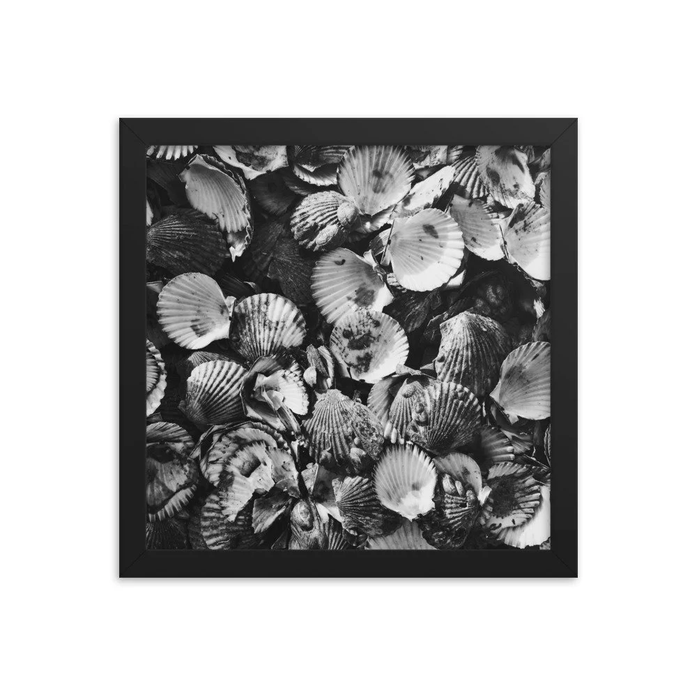 premium-luster-photo-paper-framed-poster-(in)-black-12x12-transparent-63fbde46edcce.jpg
