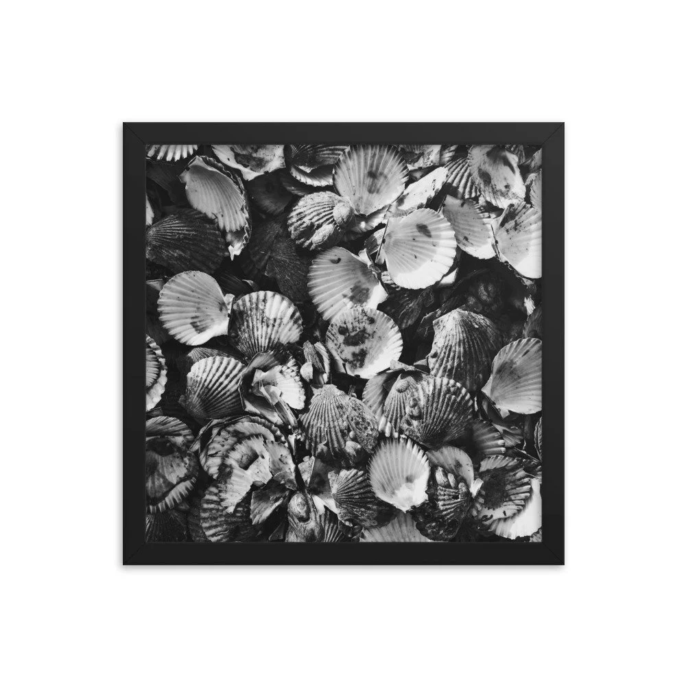 premium-luster-photo-paper-framed-poster-(in)-black-14x14-transparent-63fbde46edfb0.jpg