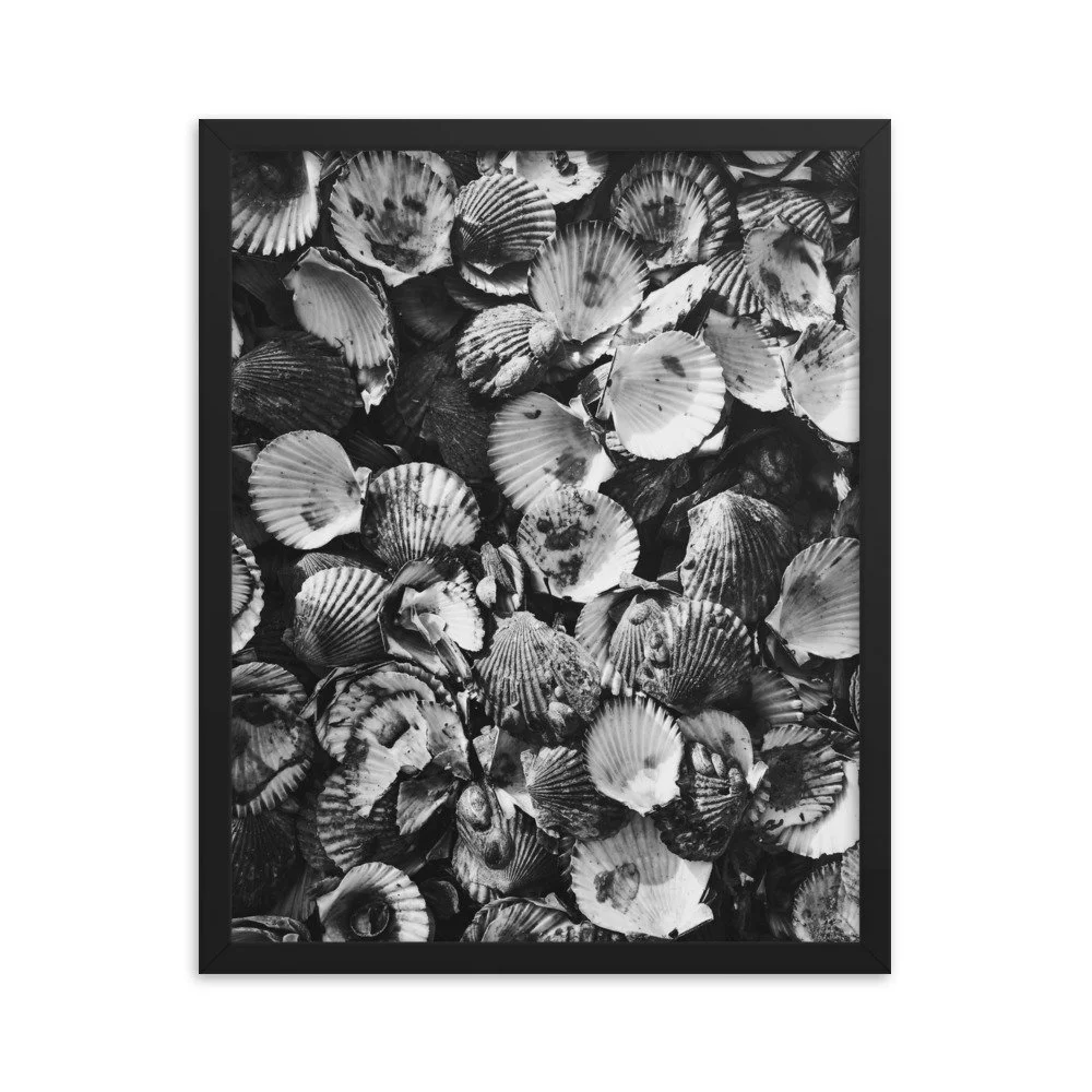 premium-luster-photo-paper-framed-poster-(in)-black-16x20-transparent-63fbde46ee14a.jpg