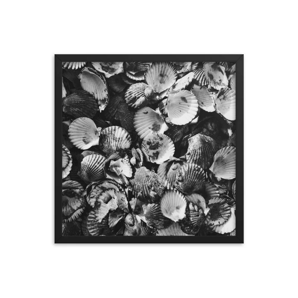 premium-luster-photo-paper-framed-poster-(in)-black-18x18-transparent-63fbde46ee21a.jpg