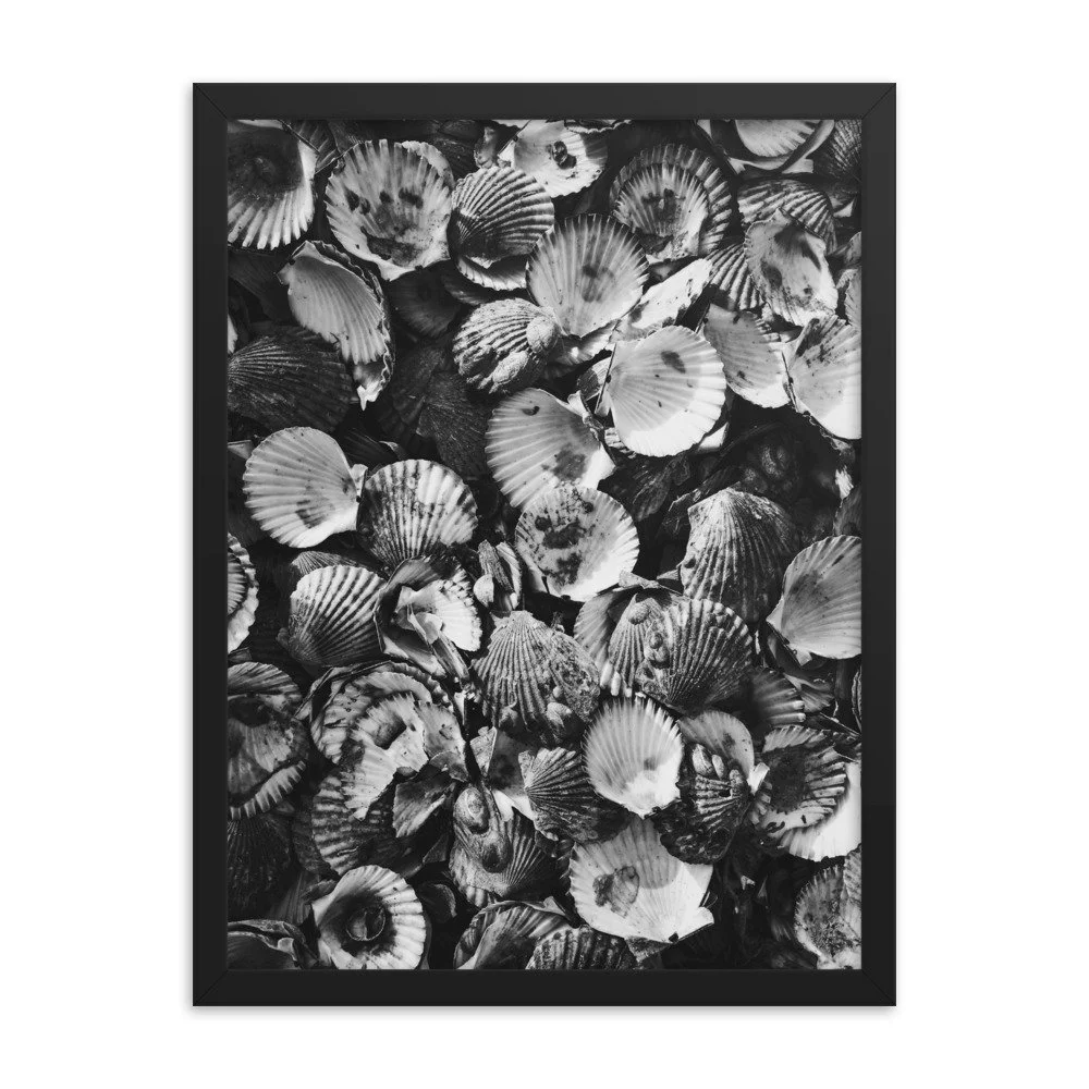 premium-luster-photo-paper-framed-poster-(in)-black-18x24-transparent-63fbde46ee315.jpg