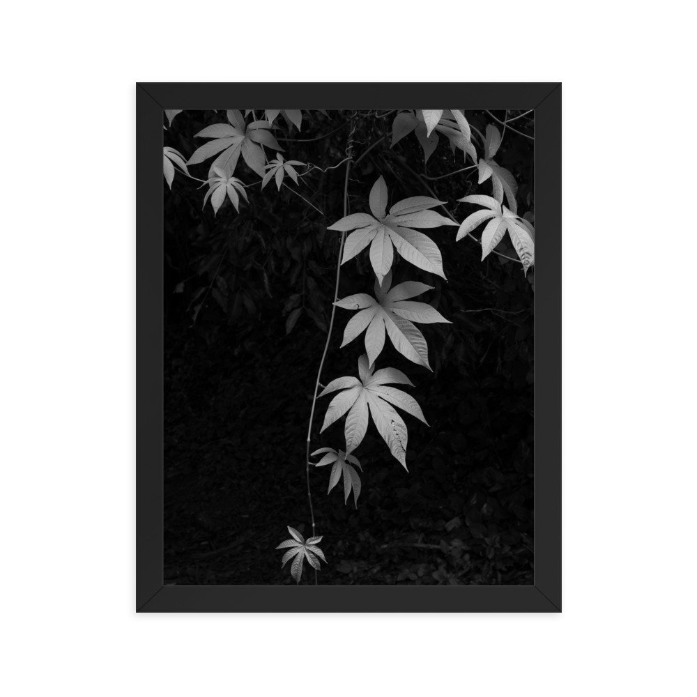 premium-luster-photo-paper-framed-poster-(in)-black-11x14-transparent-63fc1408679ae.jpg
