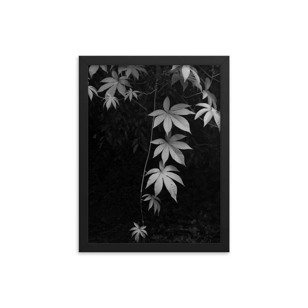 premium-luster-photo-paper-framed-poster-(in)-black-12x16-transparent-63fc14086a334.jpg