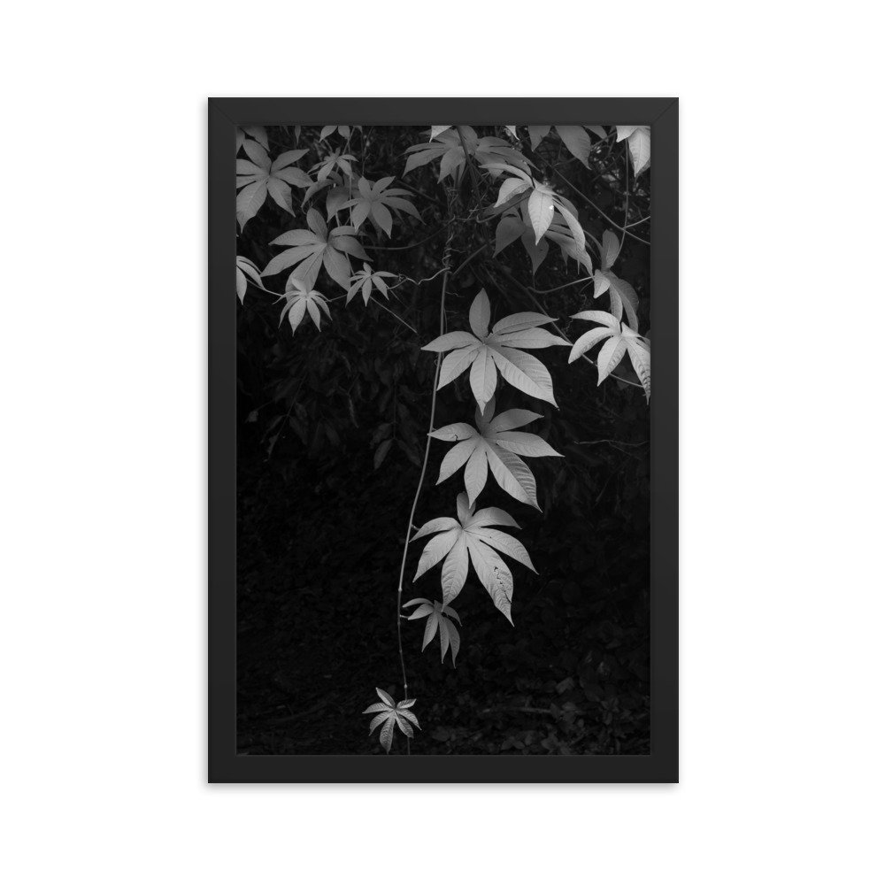 premium-luster-photo-paper-framed-poster-(in)-black-12x18-transparent-63fc14086a414.jpg