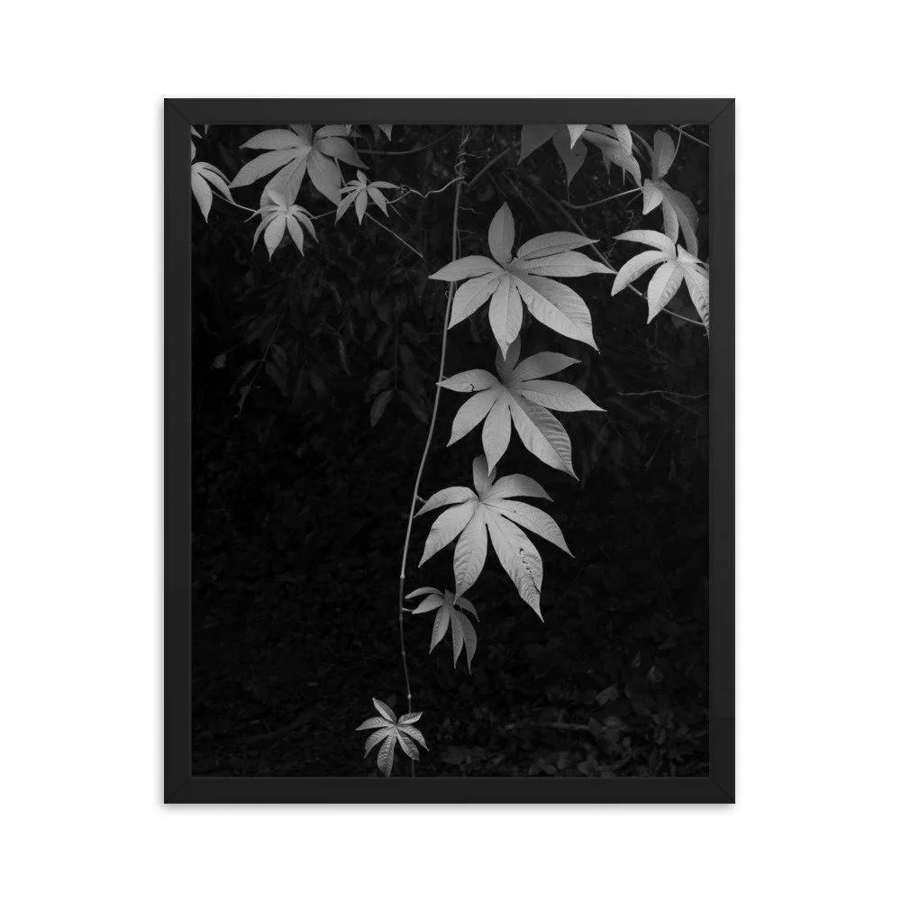 premium-luster-photo-paper-framed-poster-(in)-black-16x20-transparent-63fc14086a6ac.jpg
