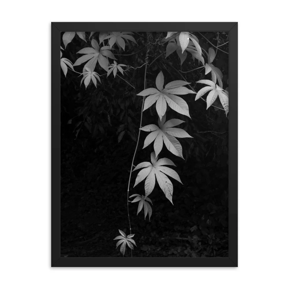 premium-luster-photo-paper-framed-poster-(in)-black-18x24-transparent-63fc14086a863.jpg