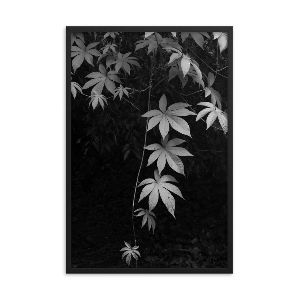 premium-luster-photo-paper-framed-poster-(in)-black-24x36-transparent-63fc14086a92d.jpg
