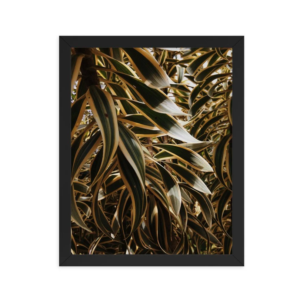 premium-luster-photo-paper-framed-poster-(in)-black-11x14-transparent-63fc21148acb9.jpg