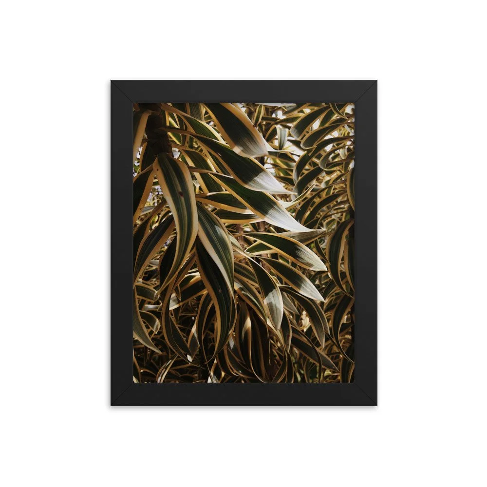 premium-luster-photo-paper-framed-poster-(in)-black-8x10-transparent-63fc21148b346.jpg