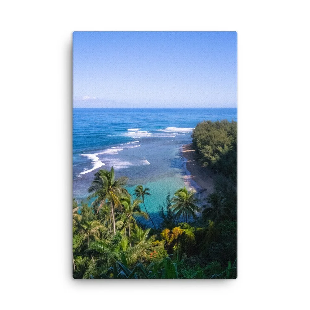 canvas-(in)-24x36-wall-63fc378377548.jpg