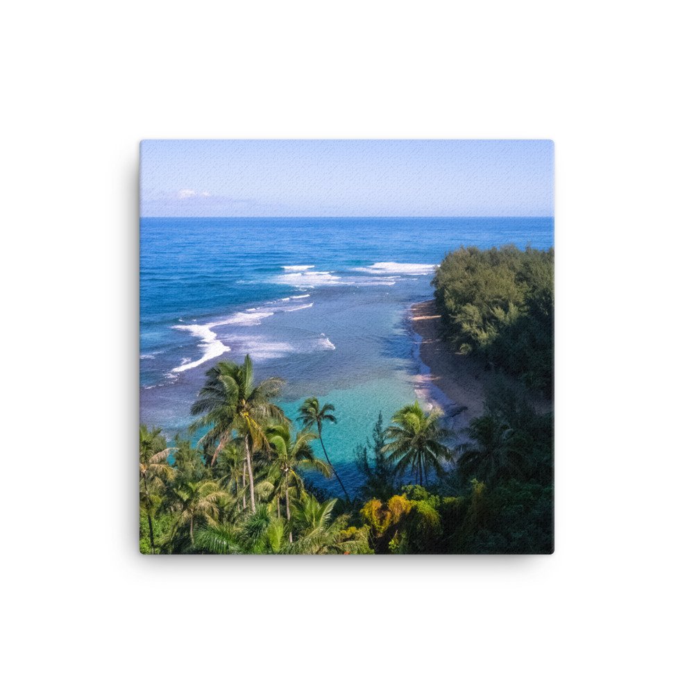 canvas-(in)-16x16-wall-63fc3783789e5.jpg