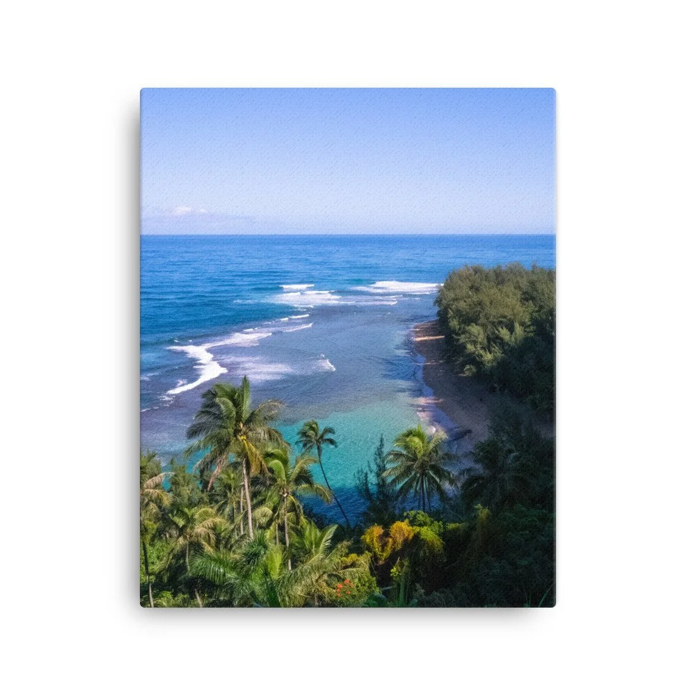 canvas-(in)-16x20-wall-63fc378378a5a.jpg