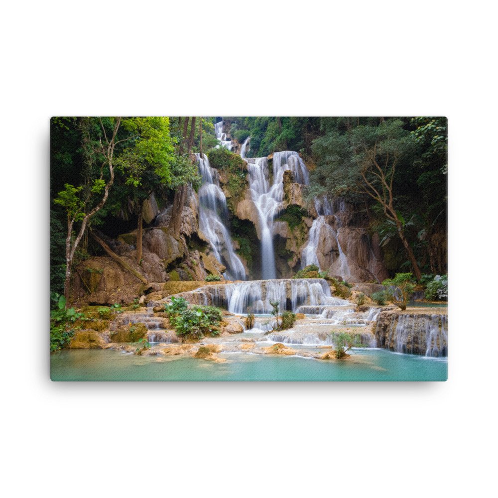 canvas-(in)-24x36-wall-63fc3a1ae507d.jpg