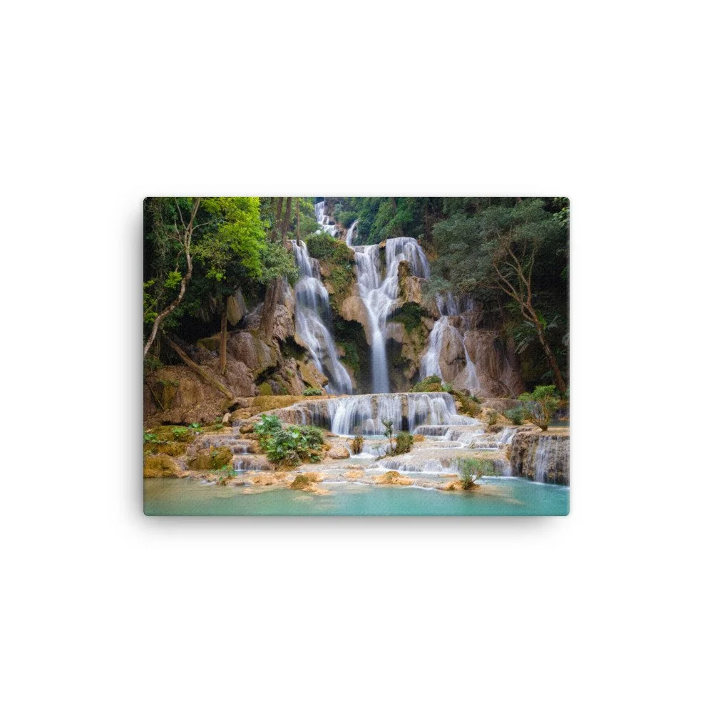 canvas-(in)-12x16-wall-63fc3a1ae9ed1.jpg