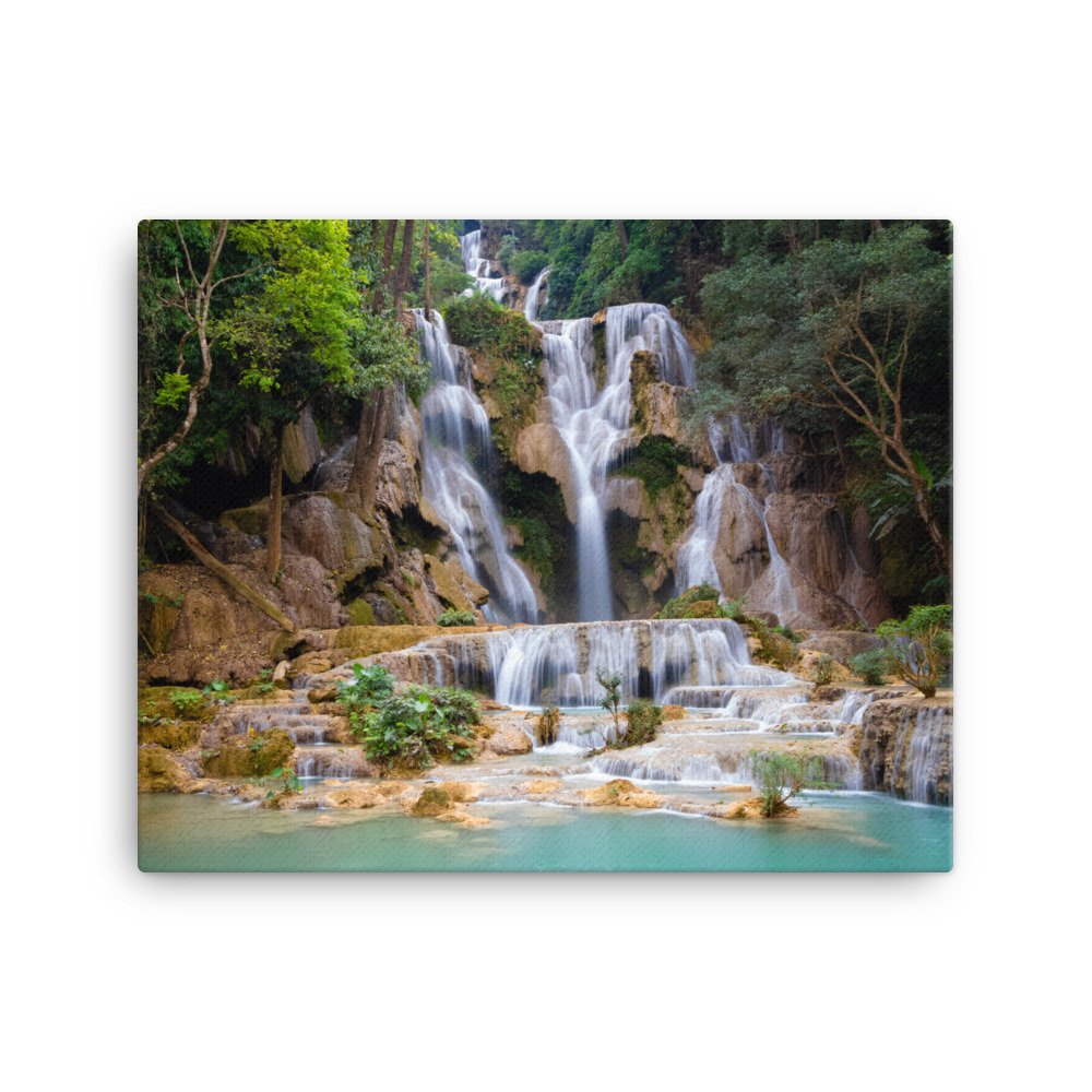 canvas-(in)-16x20-wall-63fc3a1aea4d7.jpg