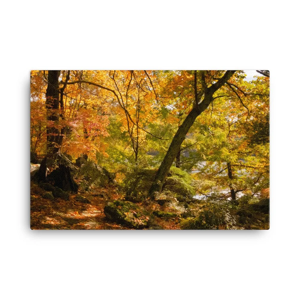 canvas-(in)-24x36-wall-63fc3c52a0f54.jpg