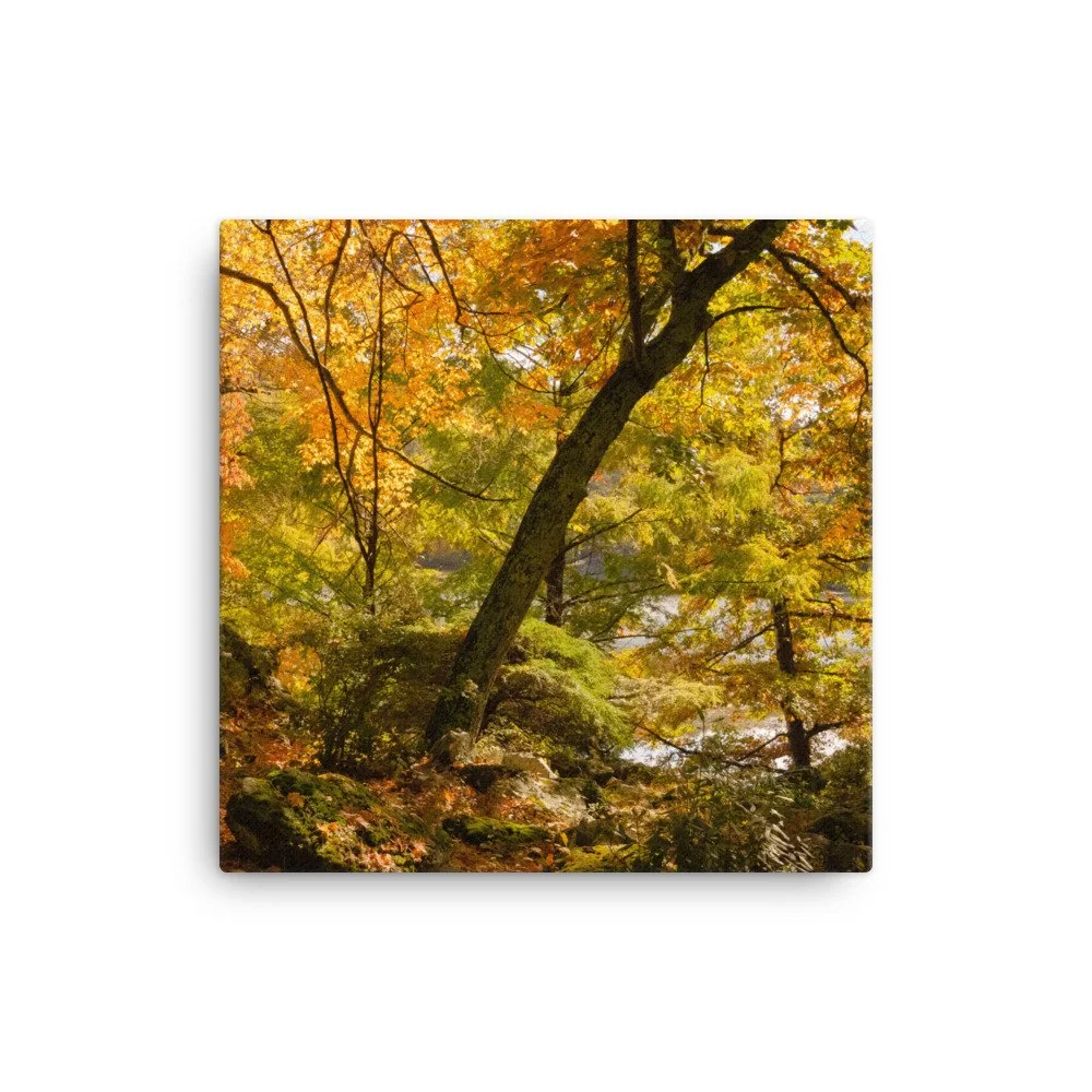 canvas-(in)-12x12-wall-63fc3c52a2b89.jpg