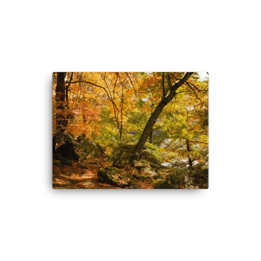 canvas-(in)-12x16-wall-63fc3c52a2c73.jpg