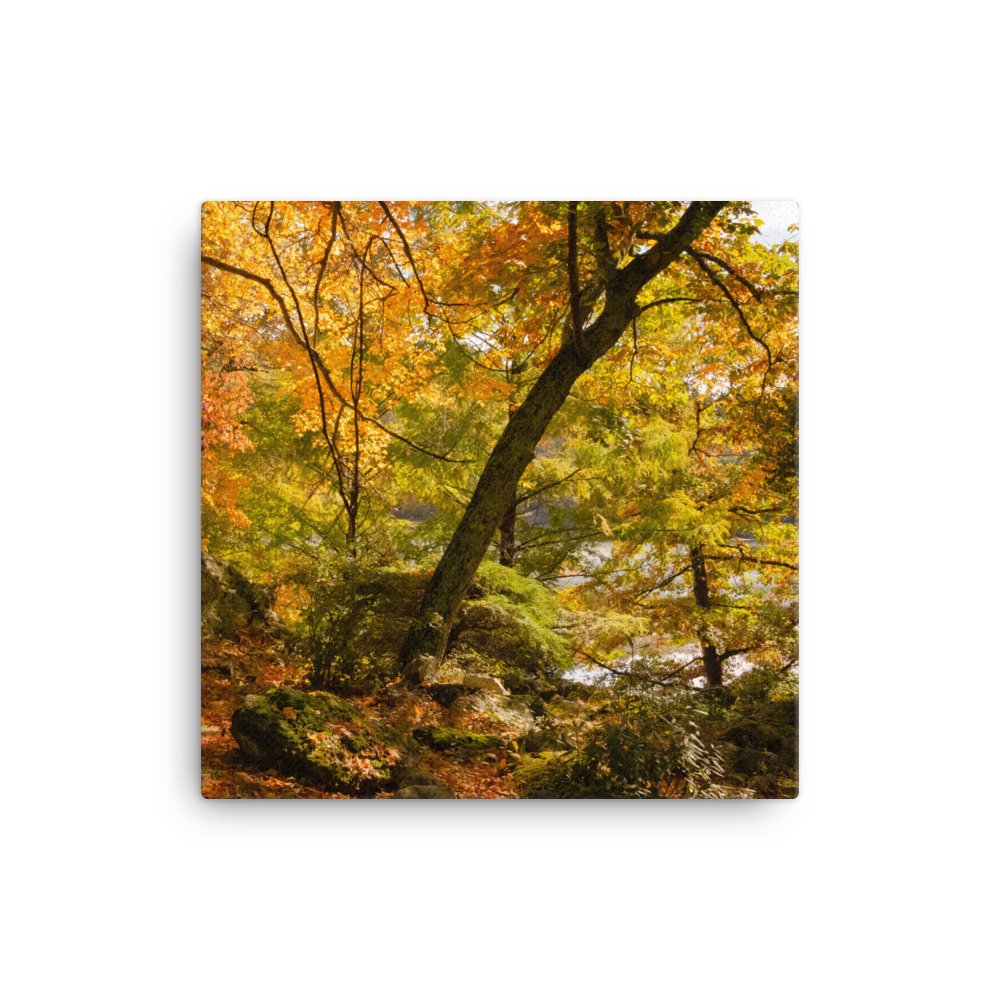canvas-(in)-16x16-wall-63fc3c52a2d39.jpg