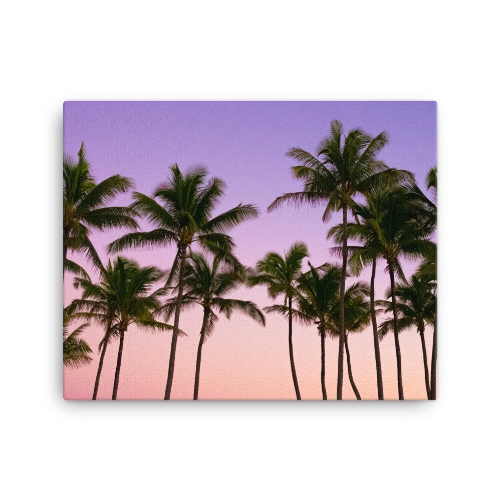 canvas-(in)-16x20-wall-63fc3e9e10fb7.jpg