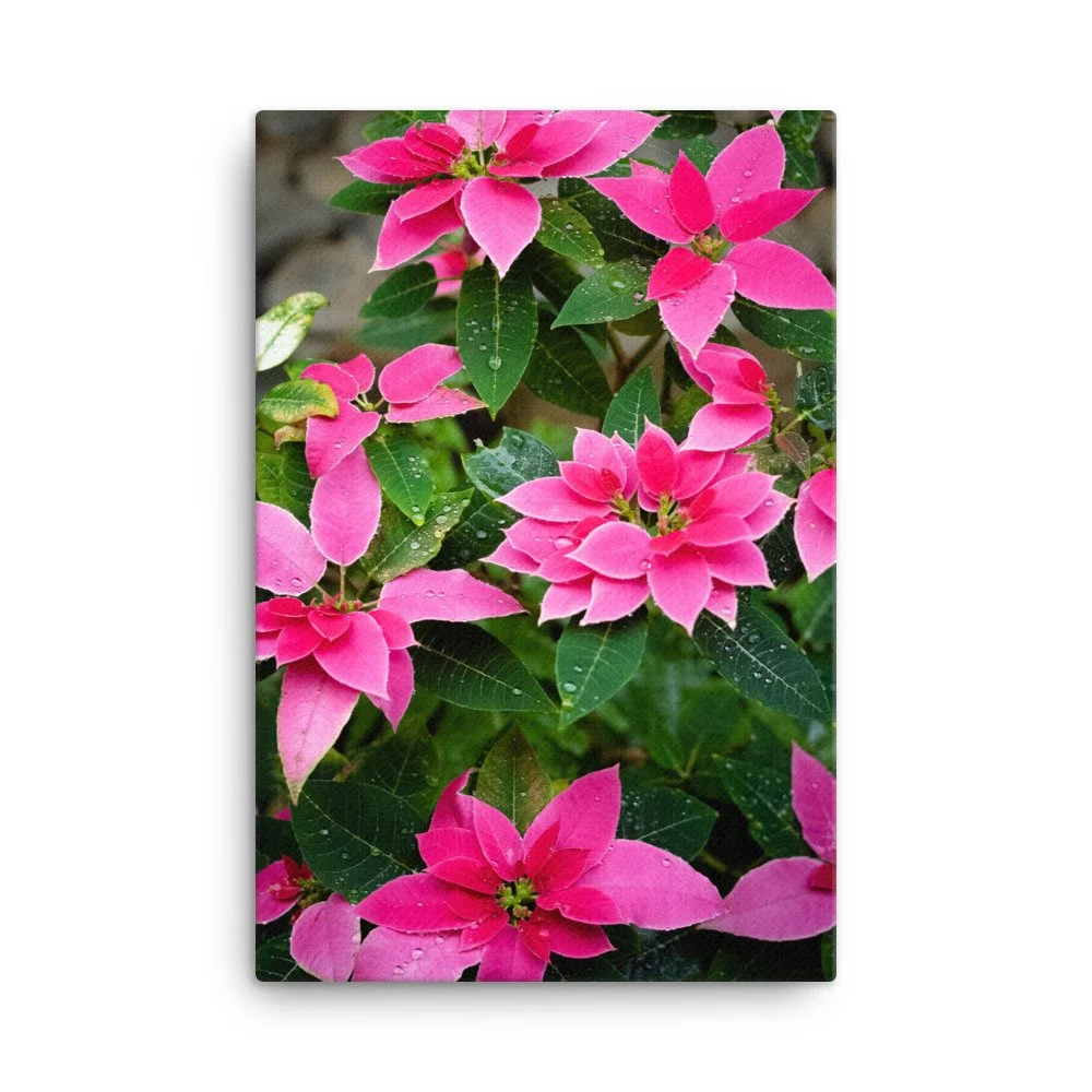 canvas-(in)-24x36-wall-63fc437454d7a.jpg
