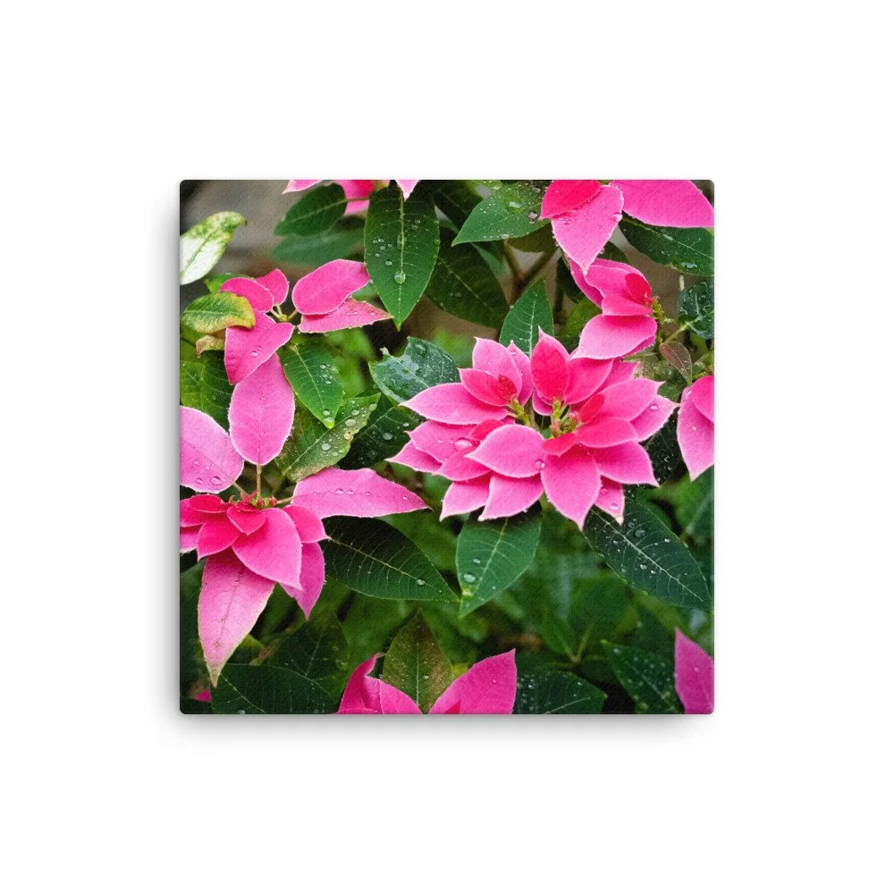 canvas-(in)-12x12-wall-63fc43745604d.jpg