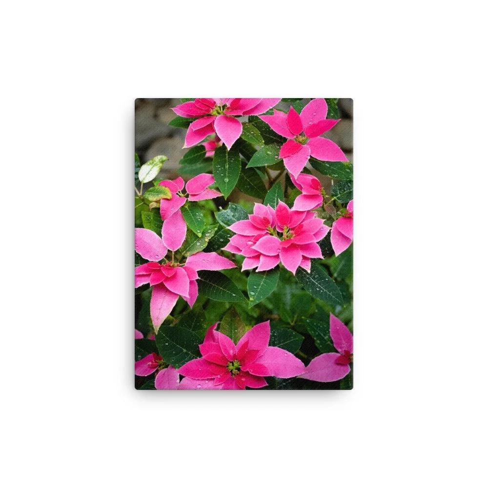 canvas-(in)-12x16-wall-63fc437456142.jpg