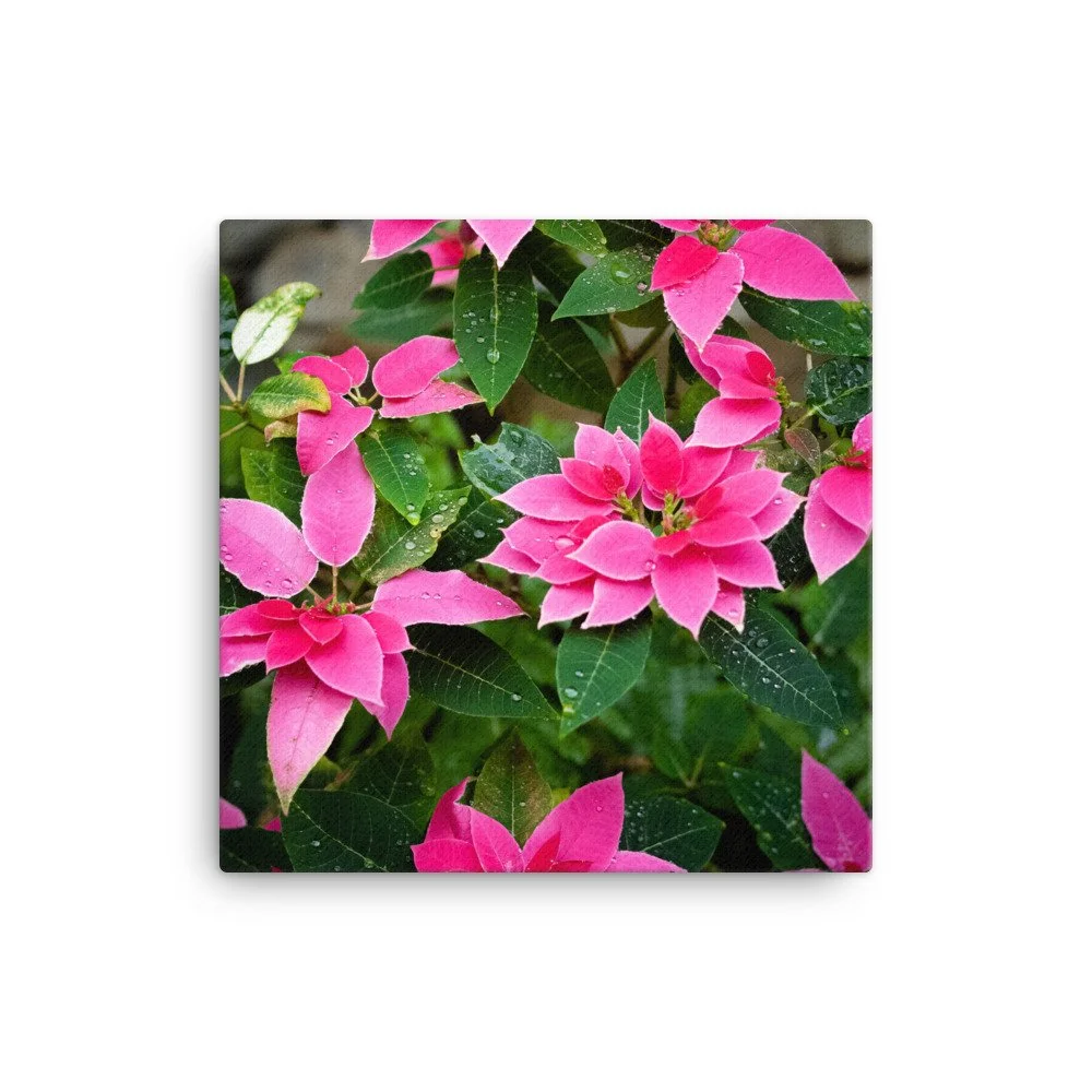 canvas-(in)-16x16-wall-63fc437456204.jpg