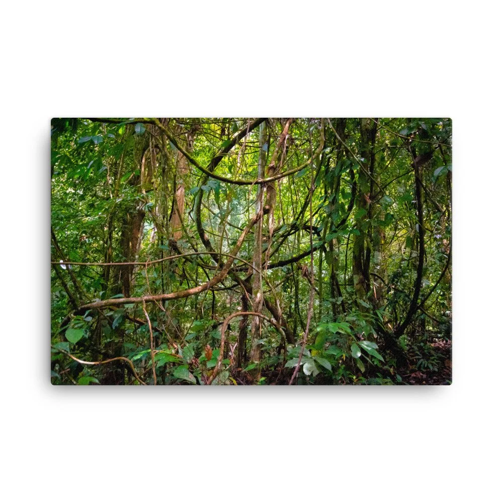 canvas-(in)-24x36-wall-63fc478a481f0.jpg