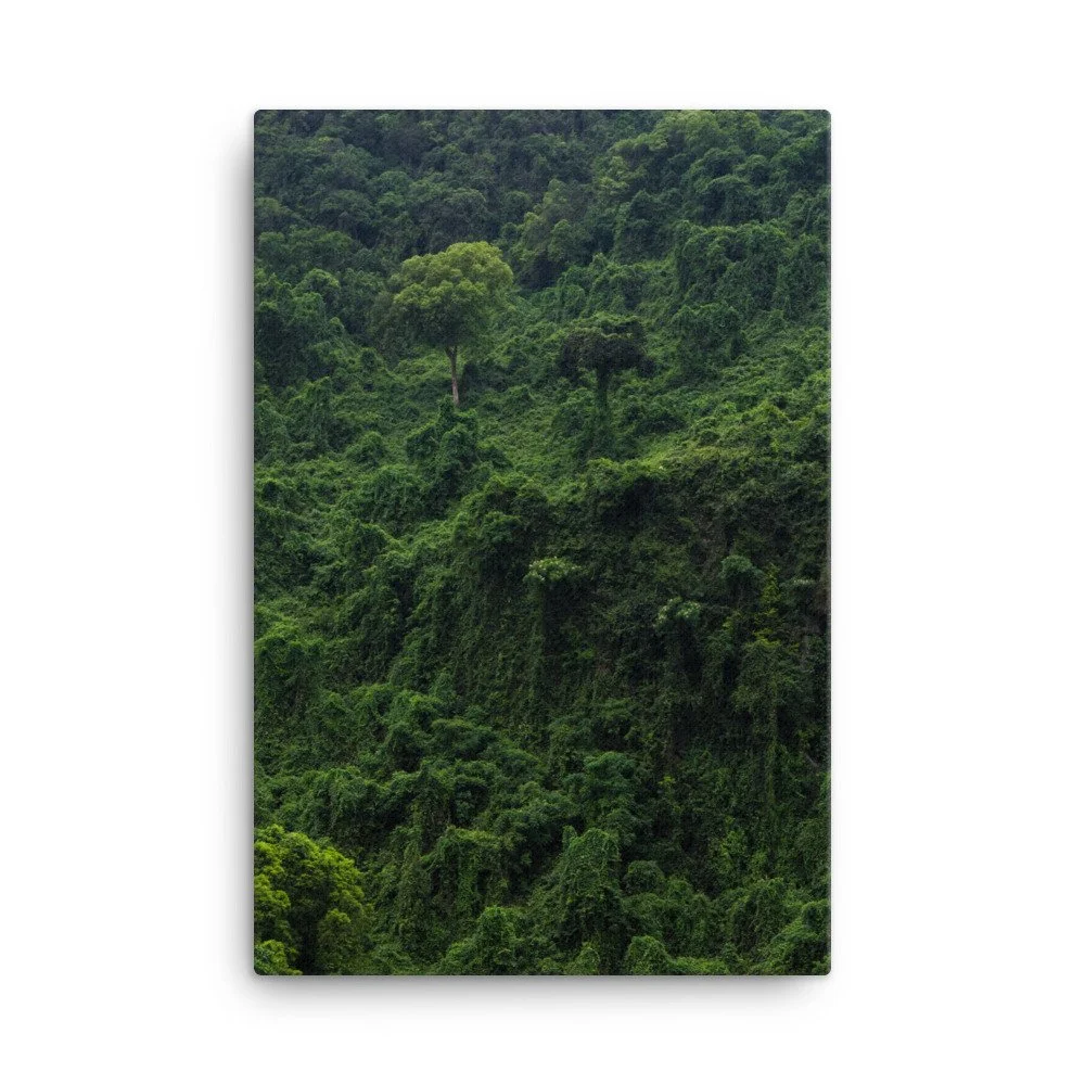 canvas-(in)-24x36-wall-63fc4b94786b2.jpg