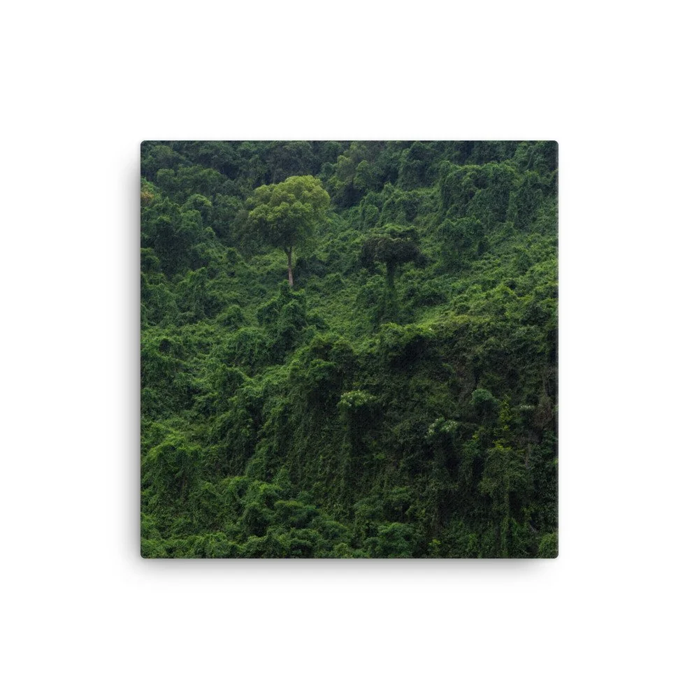 canvas-(in)-12x12-wall-63fc4b947a384.jpg