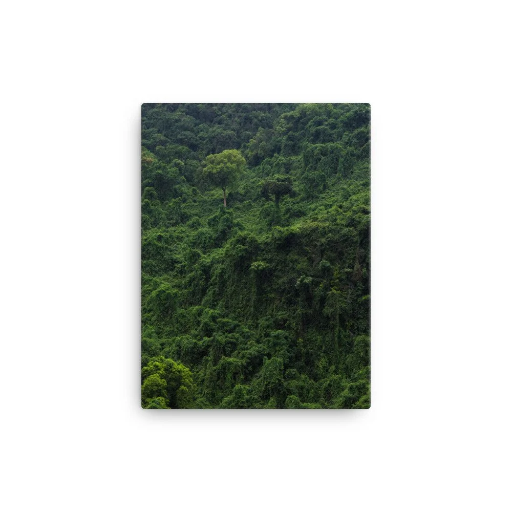 canvas-(in)-12x16-wall-63fc4b947a486.jpg