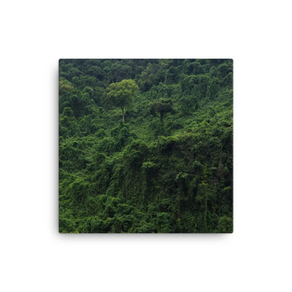 canvas-(in)-16x16-wall-63fc4b947a542.jpg