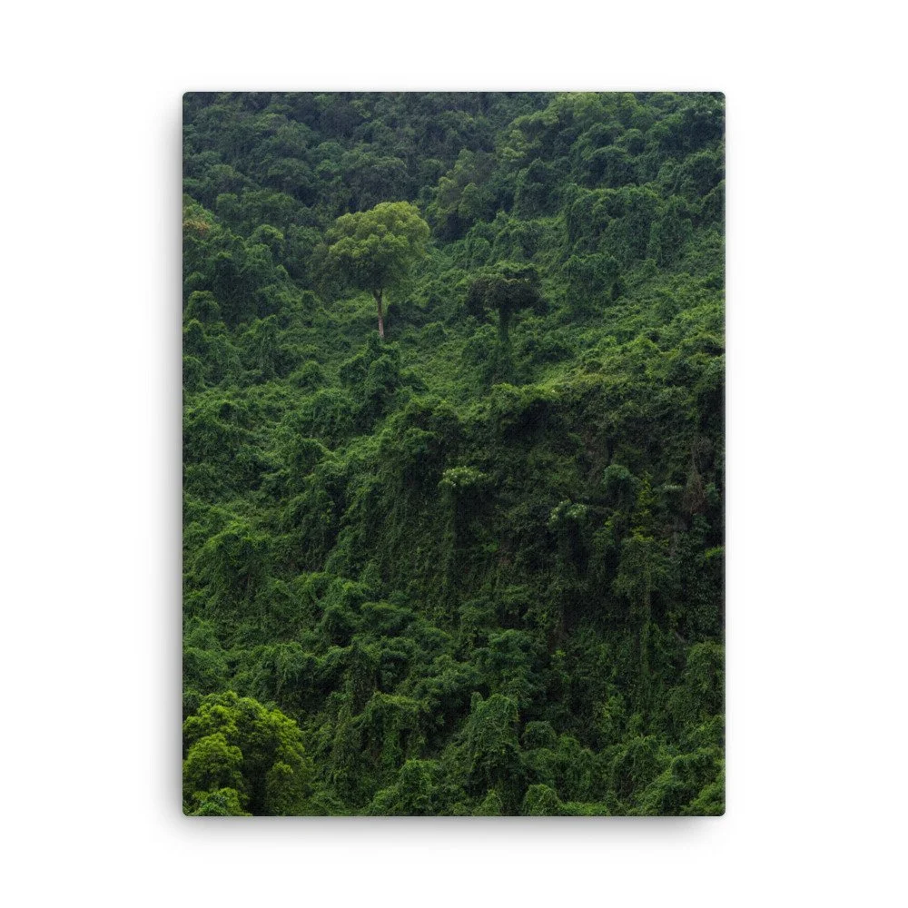 canvas-(in)-18x24-wall-63fc4b947a66b.jpg