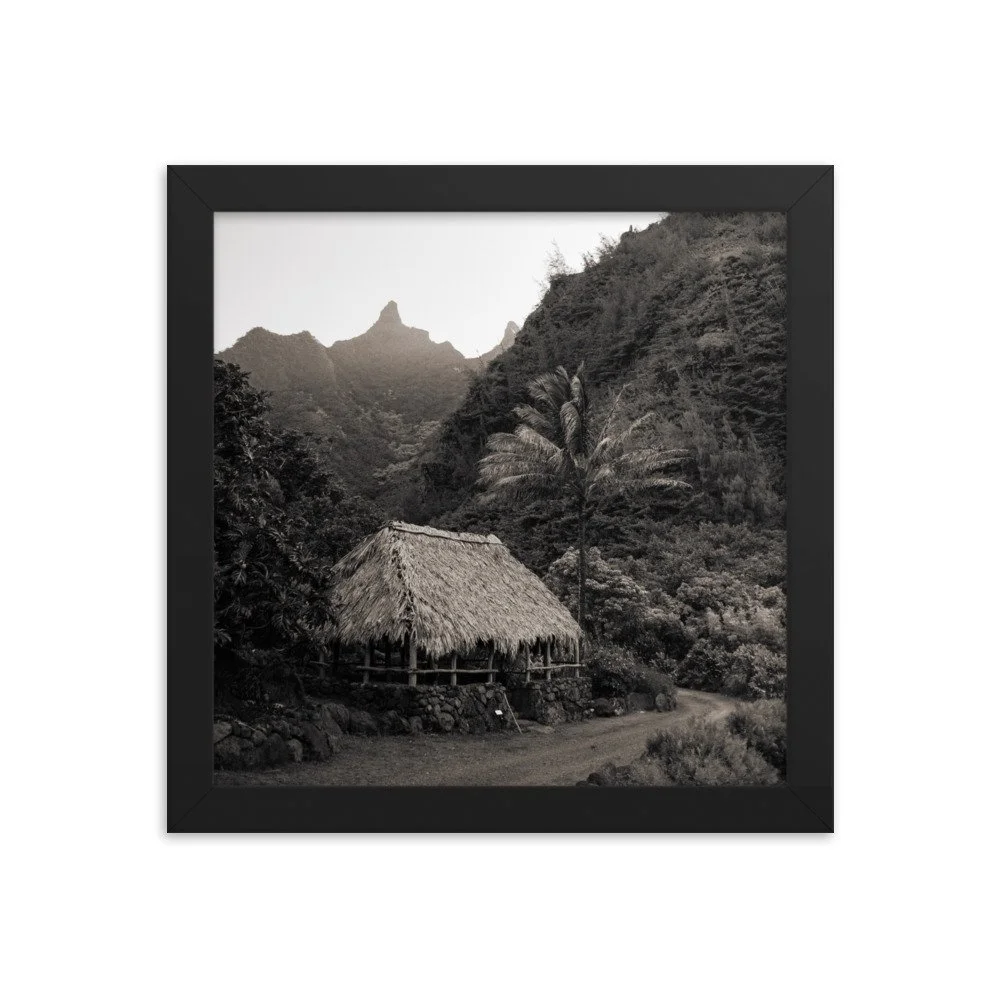 enhanced-matte-paper-framed-poster-(in)-black-10x10-transparent-63fc599fe7dee.jpg