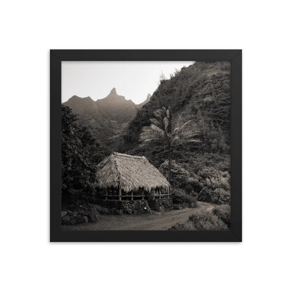 enhanced-matte-paper-framed-poster-(in)-black-12x12-transparent-63fc599fe7e8d.jpg