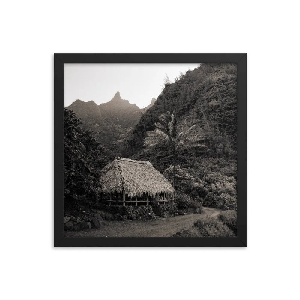 enhanced-matte-paper-framed-poster-(in)-black-14x14-transparent-63fc599fe8122.jpg