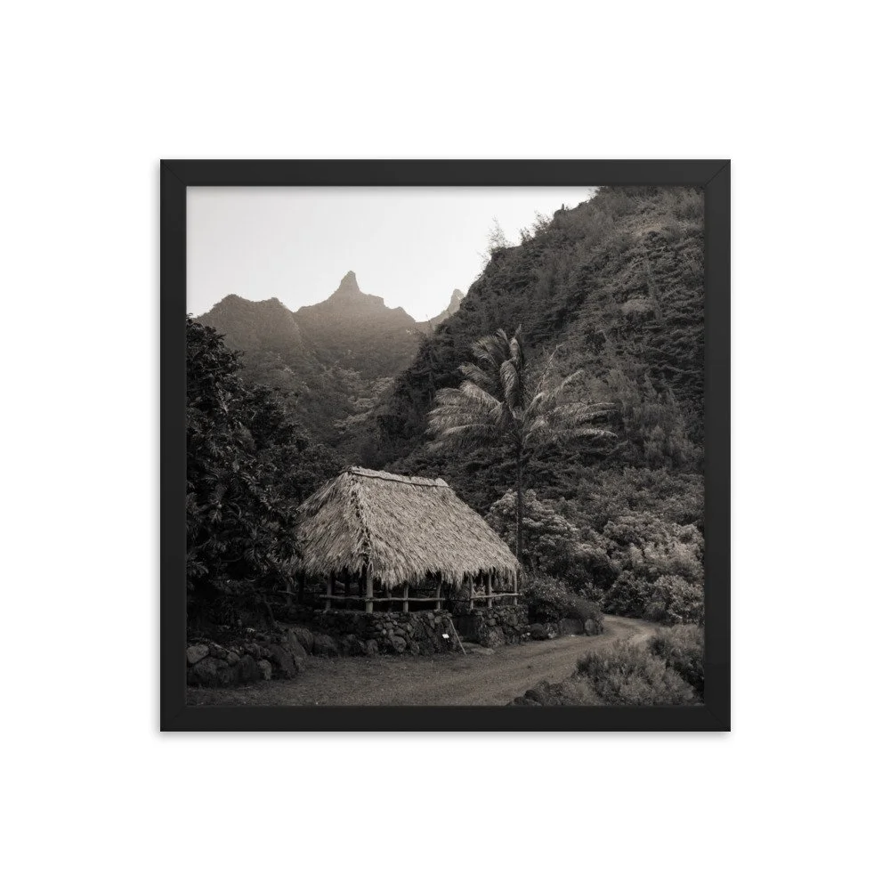 enhanced-matte-paper-framed-poster-(in)-black-16x16-transparent-63fc599fe81e4.jpg
